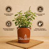 Gowardhan Flower Pot(Orange)